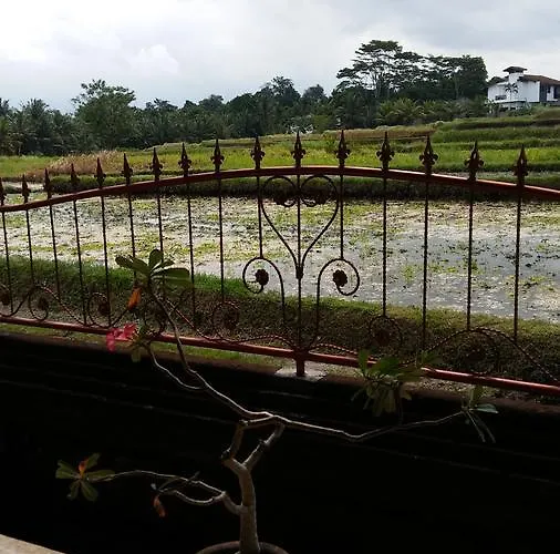 Kasih Sayang House ウブド